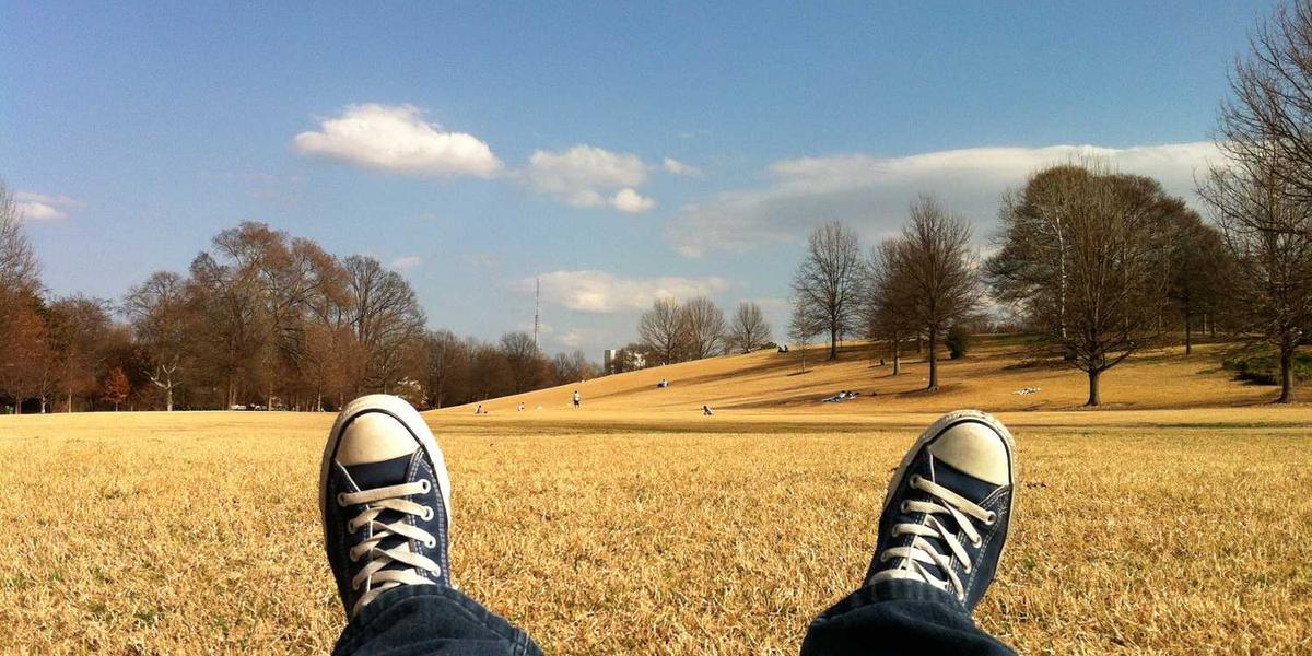 3 Landscaping Repairs You Don't Want to Try Yourself