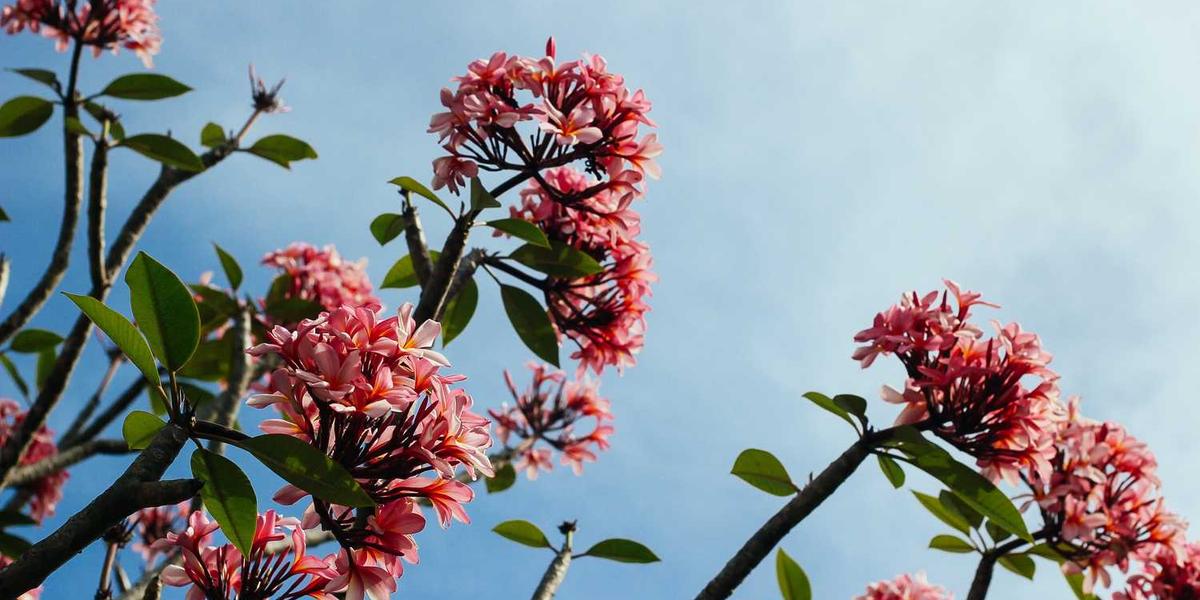 3 Reasons to Get Backsplash and Decorate your Kitchen
