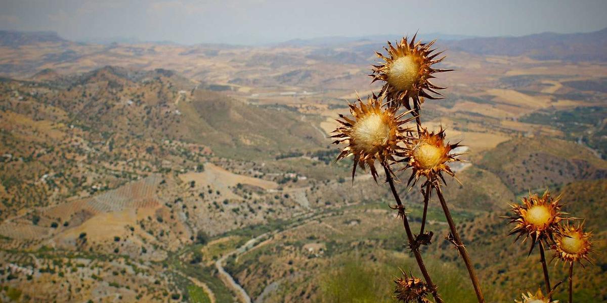 4 Things Not to Do When Installing Insulation