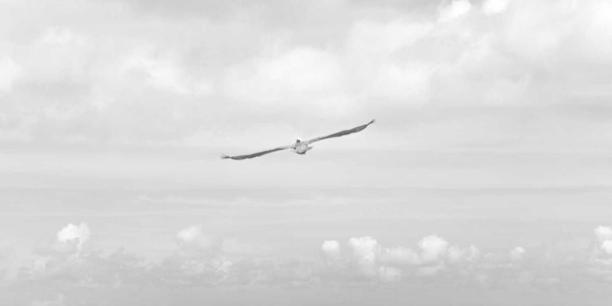 A Marble backsplash kitchen adds elegance to your house