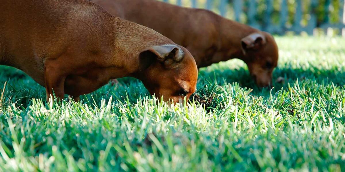 Does Your Insulation Need to be Replaced?