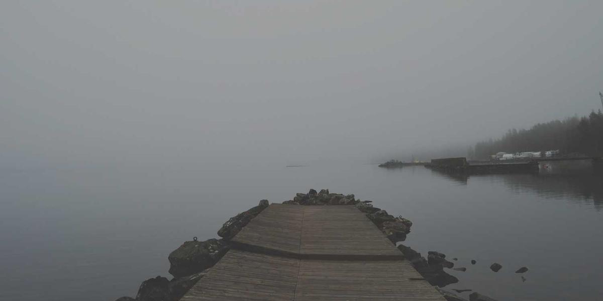 Easy Faucet and Shower Head Replacements and Installations