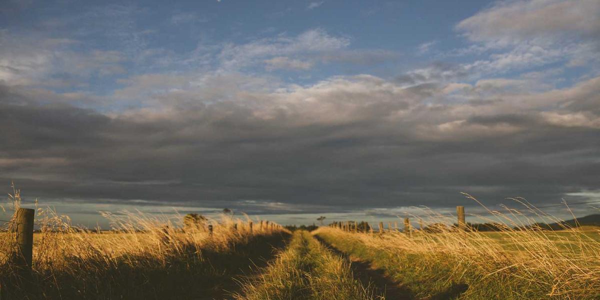 The 4 Main Challenges of Repairing a Gate