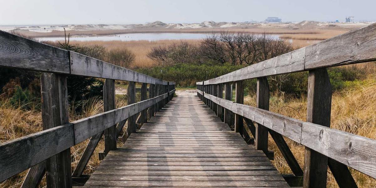 What is the difference between walnut vs. oak flooring?